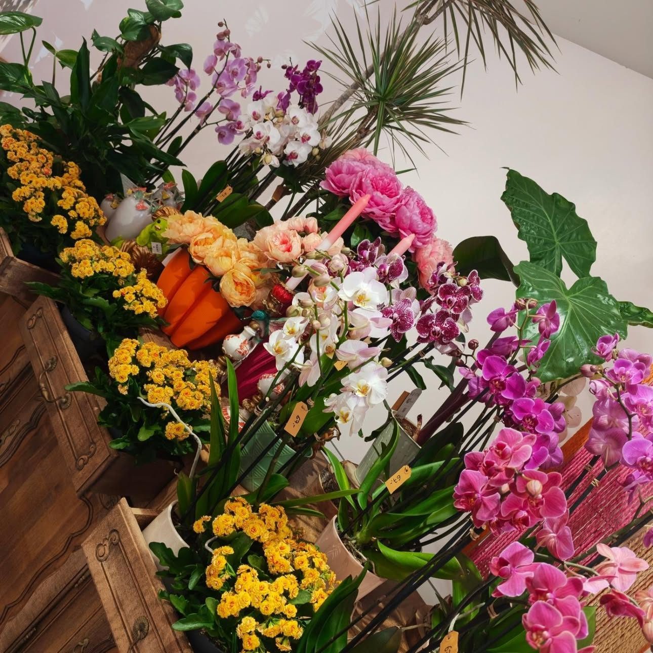 Orchidées fuchsia, fleurs jaunes et feuillages